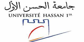 Hassan Premier University logo