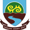 University of Energy and Natural Resources logo