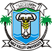 Nile Valley University logo