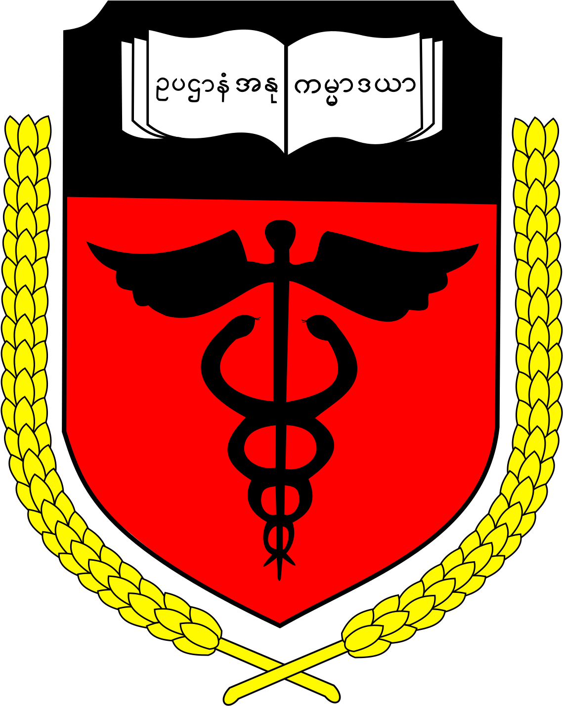 University of Medicine 2, Yangon logo
