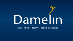 Damelin logo