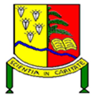 University of Mbuji-Mayi logo