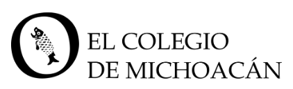 The College of Michoacan, A.C logo