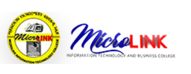 MicroLink Information Technology College logo