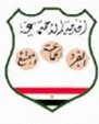 Higher Institute of Social Work, Cairo logo