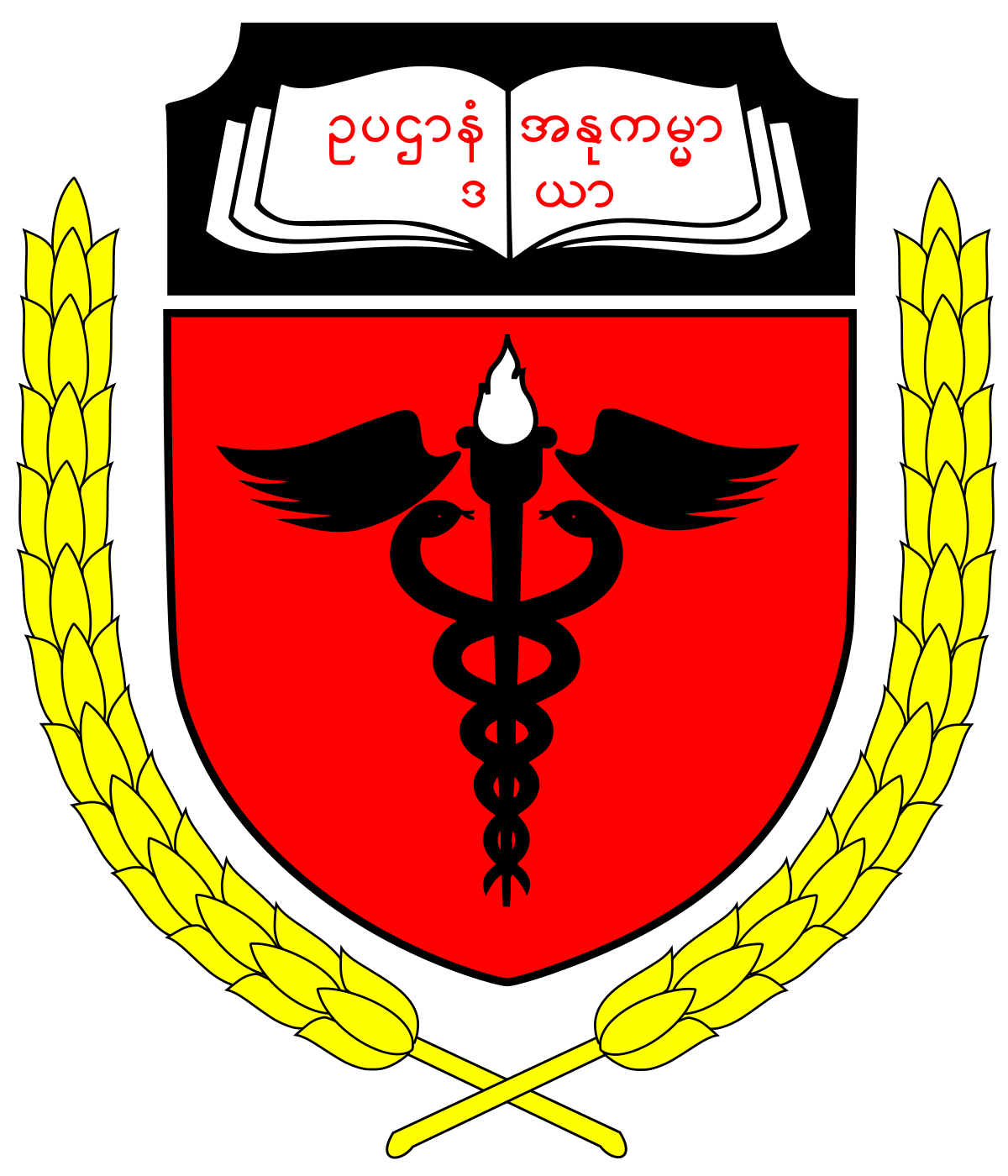 University of Medicine, Magway logo