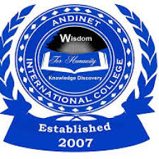 Andinet International College logo