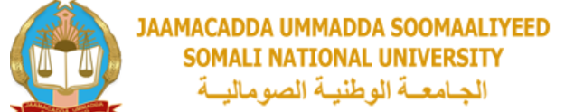 Somalia National University logo