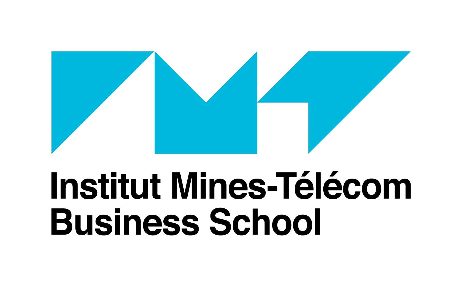 Mines-Télécom Institute Business School logo