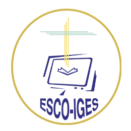 Higher School of Business and Management Informatics - Group ESCO-IGES logo