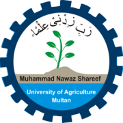 Muhammad Nawaz Shareef University of Agriculture logo