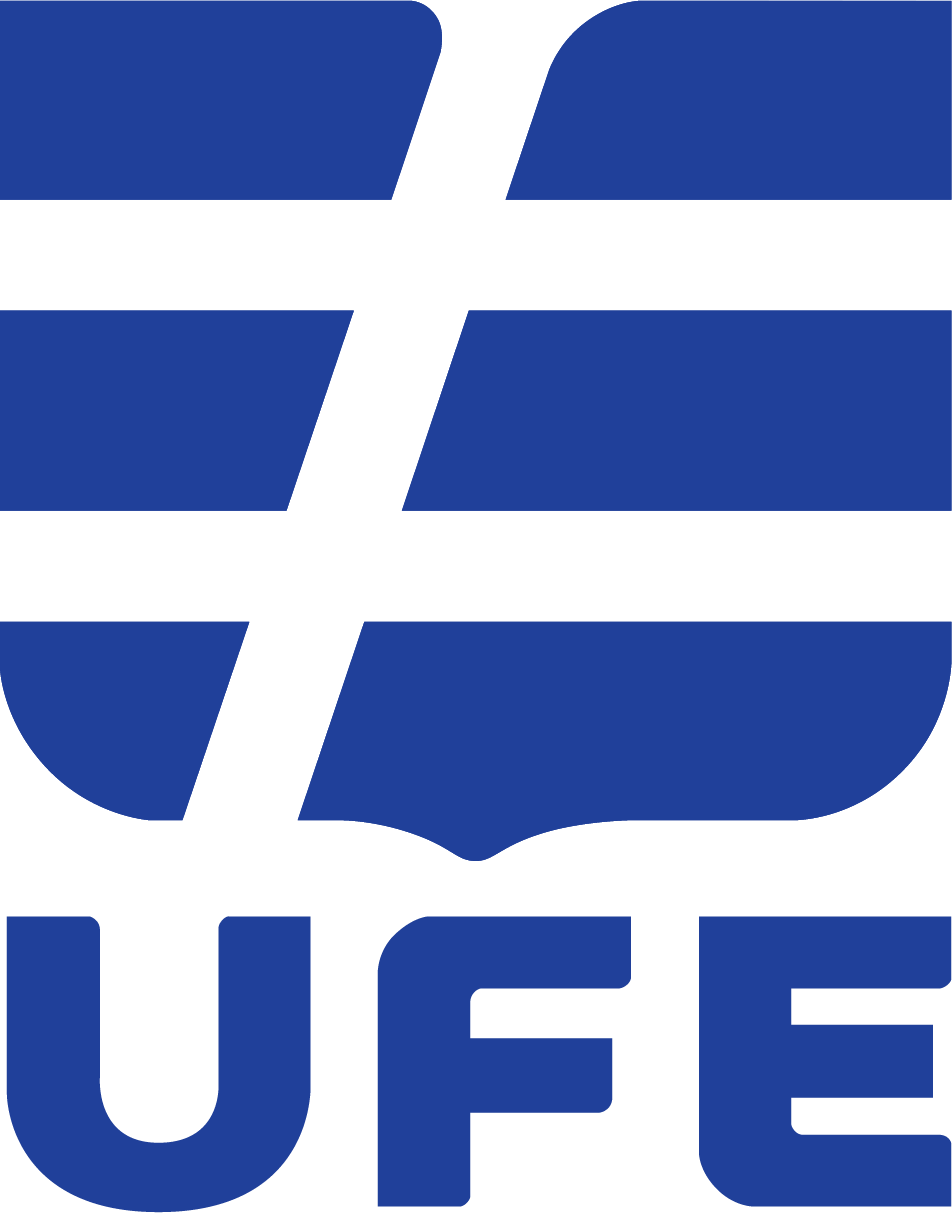 University of Finance and Economics (UFE) logo